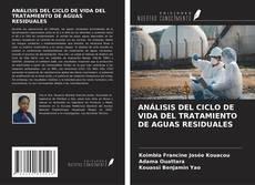Capa do livro de ANÁLISIS DEL CICLO DE VIDA DEL TRATAMIENTO DE AGUAS RESIDUALES 