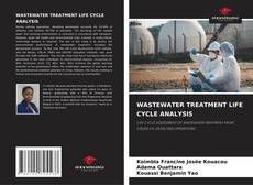 WASTEWATER TREATMENT LIFE CYCLE ANALYSIS的封面