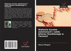 Wahania kursów walutowych i saldo bilansu handlowego w Tanzanii kitap kapağı
