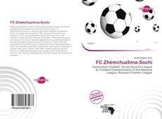 Portada del libro de FC Zhemchuzhina-Sochi