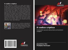 Bookcover of Il codice criptico