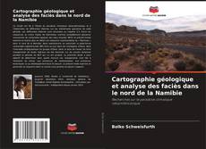 Buchcover von Cartographie géologique et analyse des faciès dans le nord de la Namibie