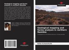 Обложка Geological mapping and facies analysis in northern Namibia