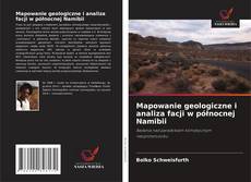 Copertina di Mapowanie geologiczne i analiza facji w północnej Namibii