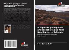 Portada del libro de Mappatura geologica e analisi delle facies nella Namibia settentrionale