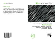 Buchcover von Pedro Ascoy