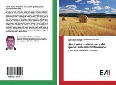 Capa do livro de Studi sulla materia secca del grano, sulla biofortificazione 