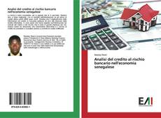 Buchcover von Analisi del credito al rischio bancario nell'economia senegalese