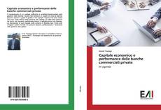 Copertina di Capitale economico e performance delle banche commerciali private