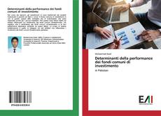 Bookcover of Determinanti della performance dei fondi comuni di investimento