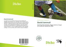 Bookcover of David Jemmali