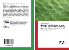 Nutrire il bestiame con la pera di cactus (Opuntia ficus-indica)的封面