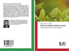 Punti di carbonio (CD) da Casein的封面