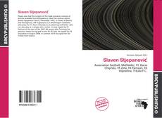 Buchcover von Slaven Stjepanović