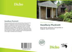 Bookcover of Haselbury Plucknett