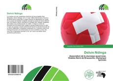 Buchcover von Delvin Ndinga