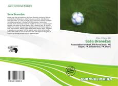 Portada del libro de Saša Branežac