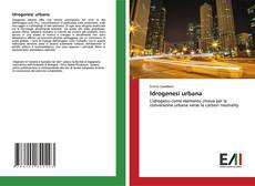 Buchcover von Idrogenesi urbana
