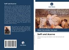 Seff und Acervo kitap kapağı