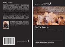 Capa do livro de Seff y Acervo 