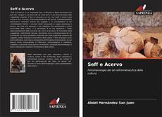 Bookcover of Seff e Acervo