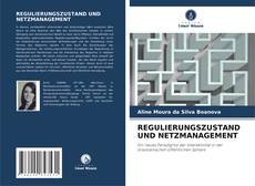 REGULIERUNGSZUSTAND UND NETZMANAGEMENT kitap kapağı