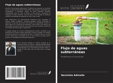 Capa do livro de Flujo de aguas subterráneas 