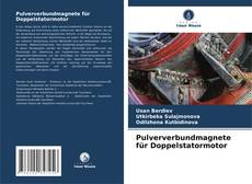 Copertina di Pulververbundmagnete für Doppelstatormotor
