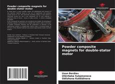 Bookcover of Powder composite magnets for double-stator motor