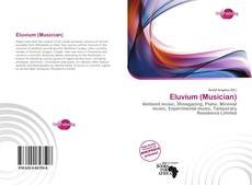 Portada del libro de Eluvium (Musician)