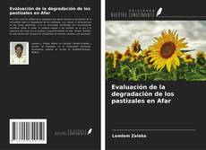 Capa do livro de Evaluación de la degradación de los pastizales en Afar 