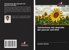 Couverture de Valutazione del degrado dei pascoli nell'Afar