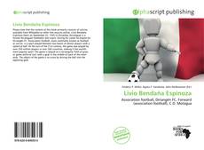 Capa do livro de Livio Bendaña Espinoza 