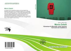 Portada del libro de Mario Zatelli