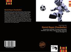 Bookcover of Daniel Reyes (Footballer)