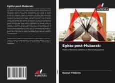 Capa do livro de Egitto post-Mubarak: 