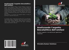 Capa do livro de Analizzando l'aspetto biocatalitico dell'amilasi 