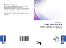 Обложка Steeluniversity.org