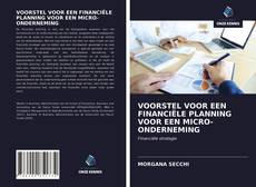Bookcover of VOORSTEL VOOR EEN FINANCIËLE PLANNING VOOR EEN MICRO-ONDERNEMING