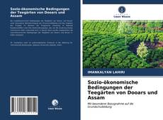 Обложка Sozio-ökonomische Bedingungen der Teegärten von Dooars und Assam