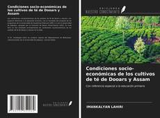 Copertina di Condiciones socio-económicas de los cultivos de té de Dooars y Assam