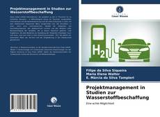 Copertina di Projektmanagement in Studien zur Wasserstoffbeschaffung