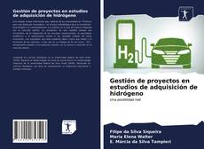 Buchcover von Gestión de proyectos en estudios de adquisición de hidrógeno