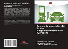 Gestion de projet dans les études d'approvisionnement en hydrogène kitap kapağı