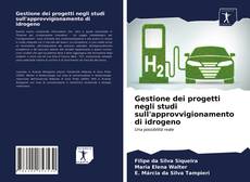 Couverture de Gestione dei progetti negli studi sull'approvvigionamento di idrogeno