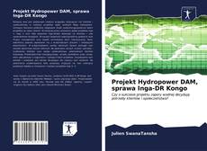 Projekt Hydropower DAM, sprawa Inga-DR Kongo kitap kapağı