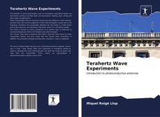 Capa do livro de Terahertz Wave Experiments 