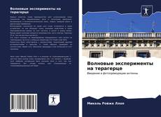 Buchcover von Волновые эксперименты на терагерце