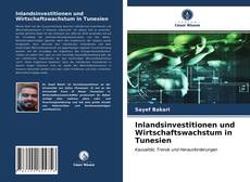 Inlandsinvestitionen und Wirtschaftswachstum in Tunesien kitap kapağı
