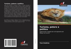 Turismo, potere e politica kitap kapağı
